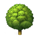 apple version