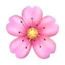 apple version
