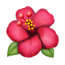 apple version