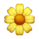 apple version