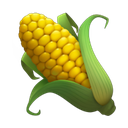 apple version