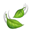apple version