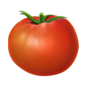 apple version