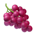 apple version