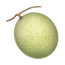 apple version