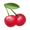 apple version