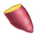 apple version