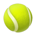apple version
