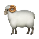 apple version