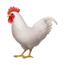 apple version