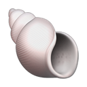 apple version