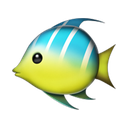 apple version