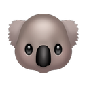 apple version