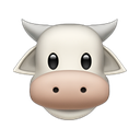 apple version