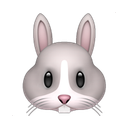 apple version