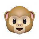 apple version