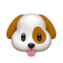 apple version