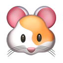 apple version