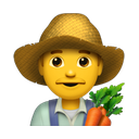 apple version