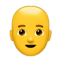 apple version
