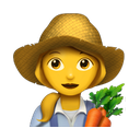 apple version