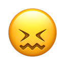 apple version