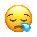 apple version