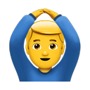 apple version