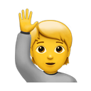apple version