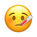 apple version