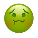 apple version