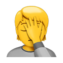 apple version