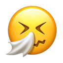 apple version