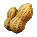 apple version