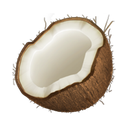 apple version