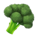 apple version