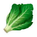apple version
