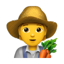 apple version