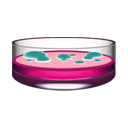 apple version