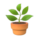 apple version