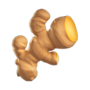 apple version