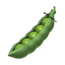 apple version