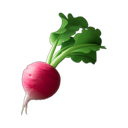 apple version