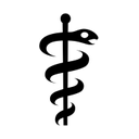 apple version