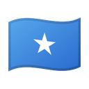 google version