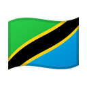 google version