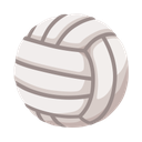 google version