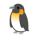 google version