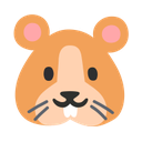 google version