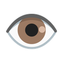 google version
